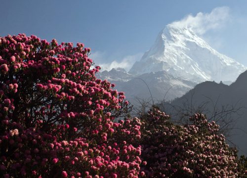 Annapurna Sanctuary Trek