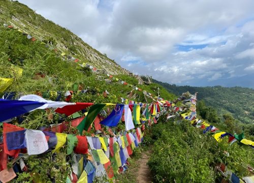 Yogini Power Pilgrimage Tour