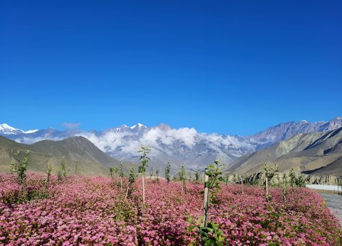 Upper & Lower Mustang Trek